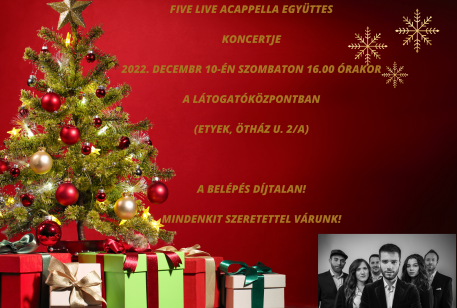 five liove acapella együttes koncertje